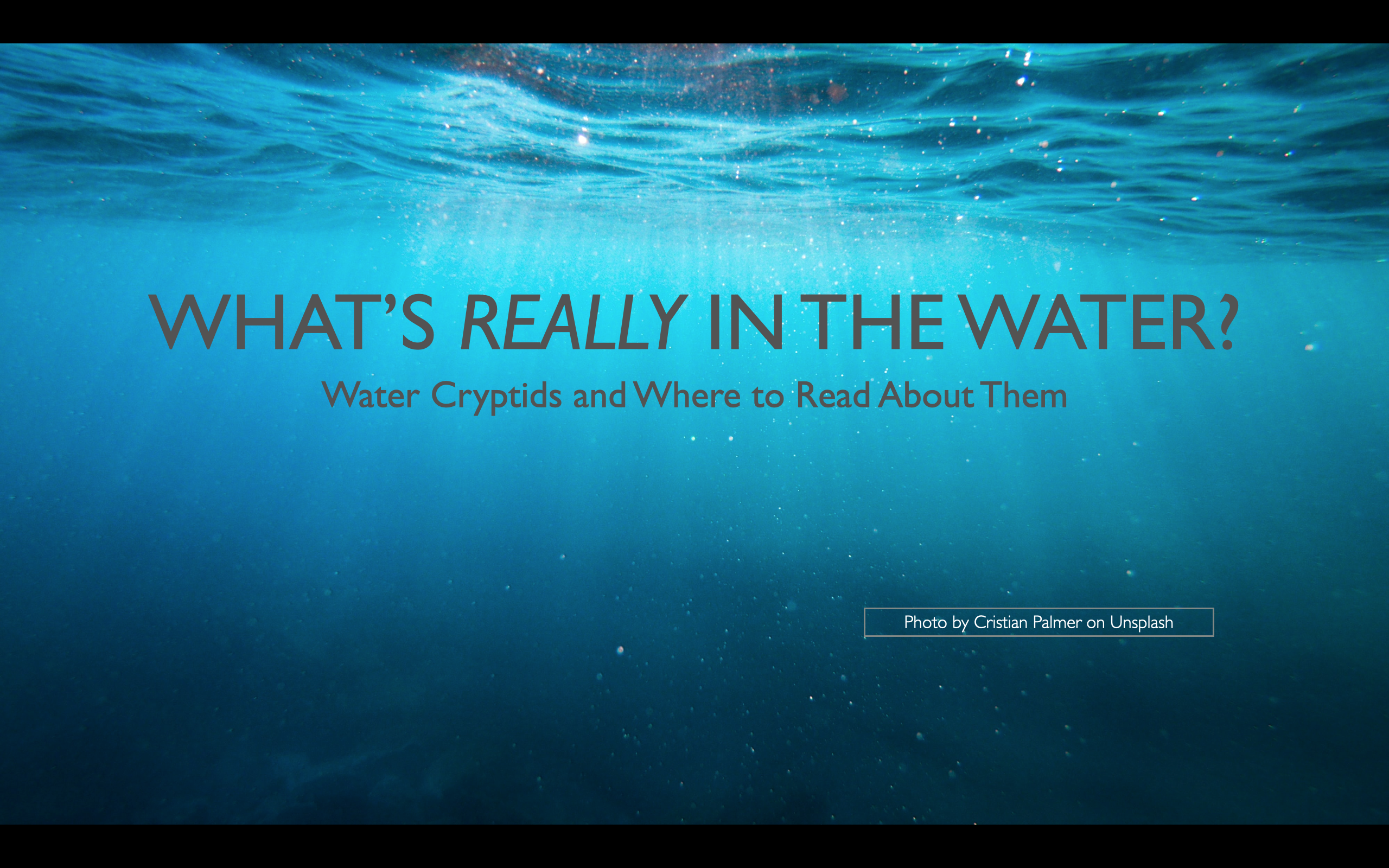 Screen Shot 2022-09-27 at 12.07.32 PM